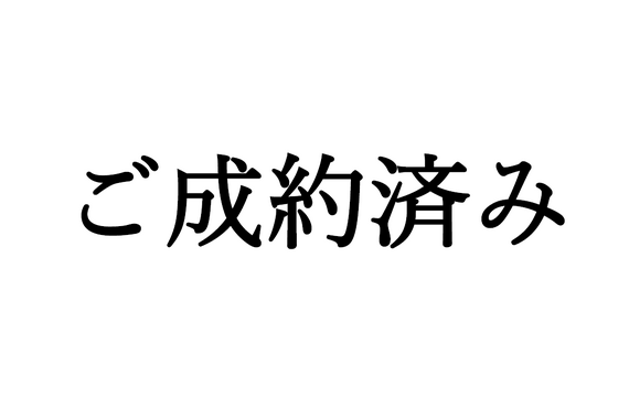 （成約済み）埼玉県入間市宮寺　山林　約424坪！　株式会社エースハウジング